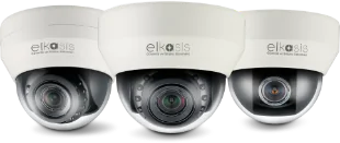 Elkasis